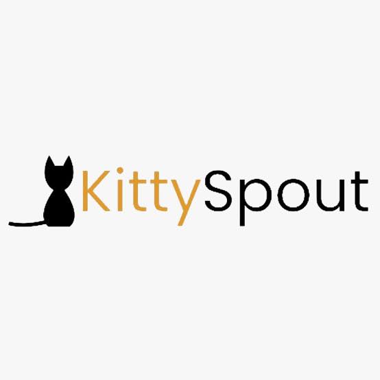 KittySpout Review: Is This Stainless Steel Cat Water Fountain Worth It?